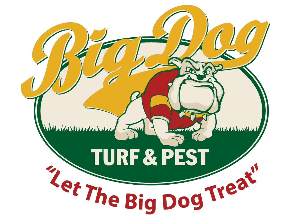Big-Dog-Logo